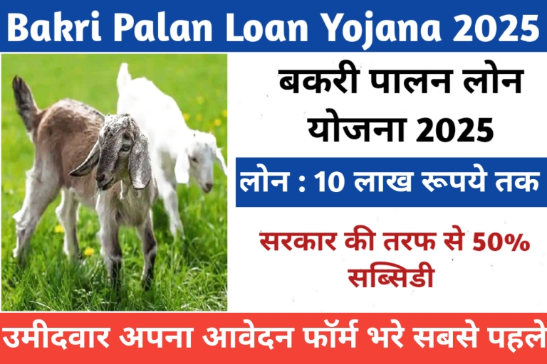 Bakri Palan Loan Yojana 2025
